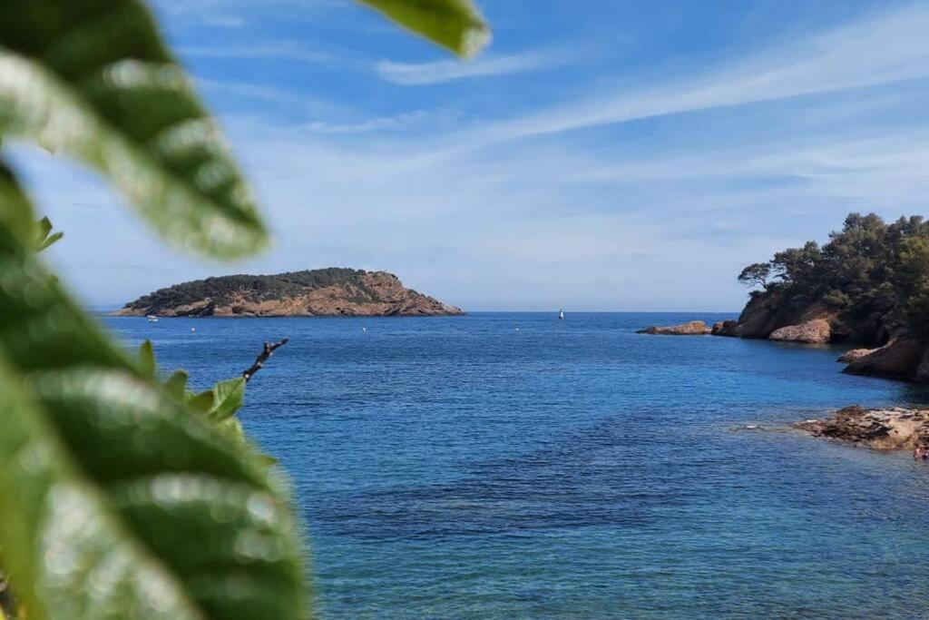 Sea View Climatise Terrasse Vue Mer Parking By Laconciergerie13 La Ciotat Buitenkant foto